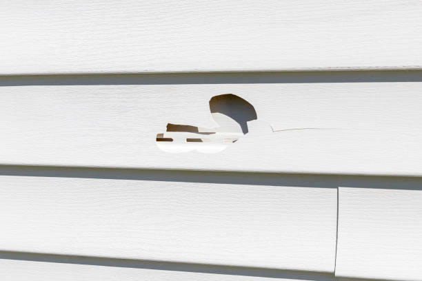 Best Siding Repair  in Rossmoor, CA